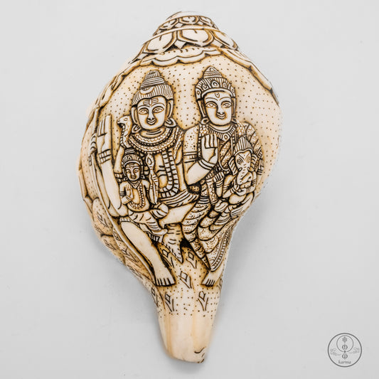 CONCHIGLIA SHIVA PARVATI