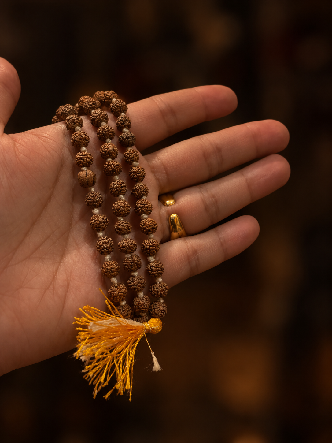 Mala Rudraksha Nepalese – 108 Perle